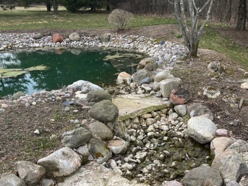 Landscape Design & Installation