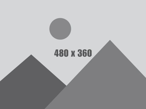 This is the image alt text describing the image