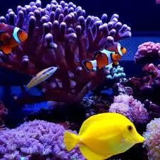 man sitting in front of table