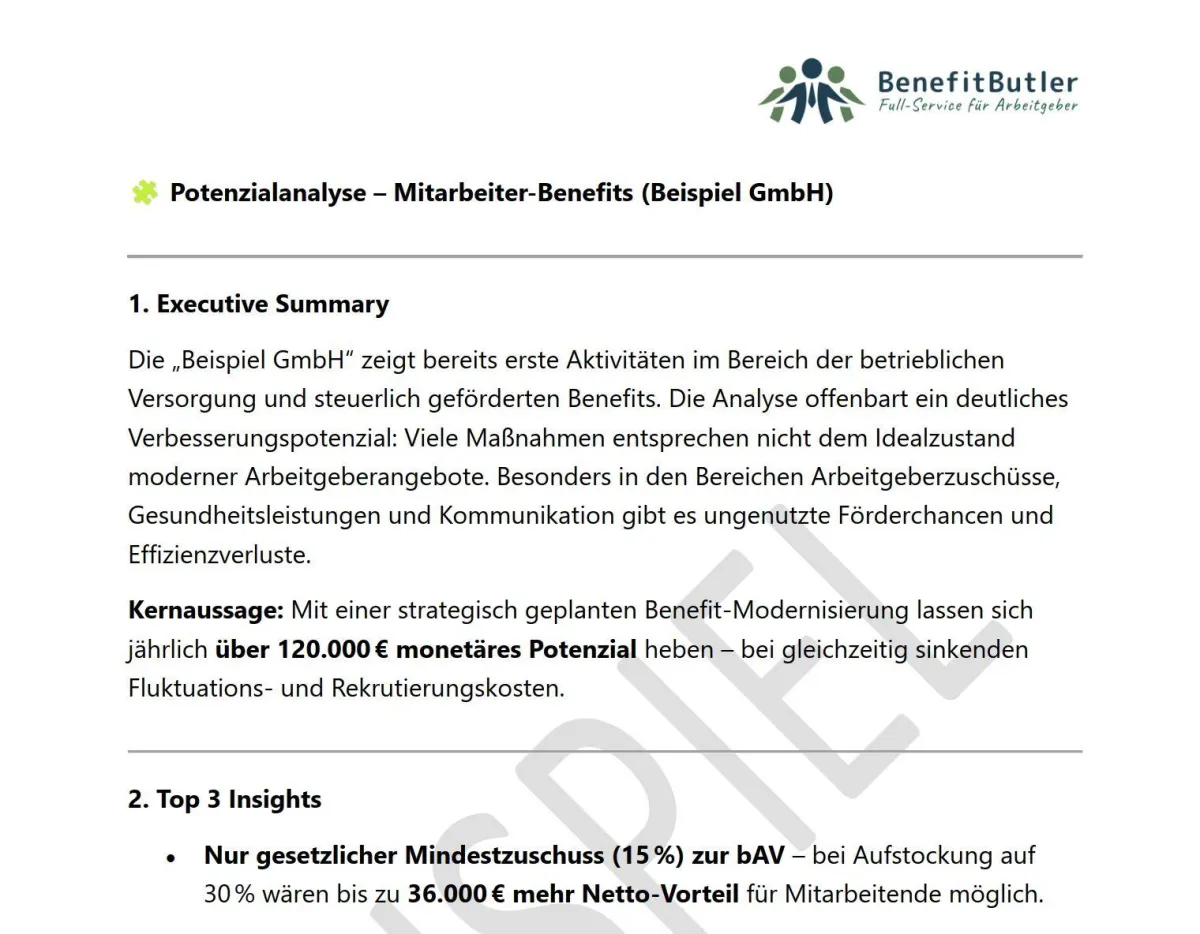 Beispiel Potenzialanalyse