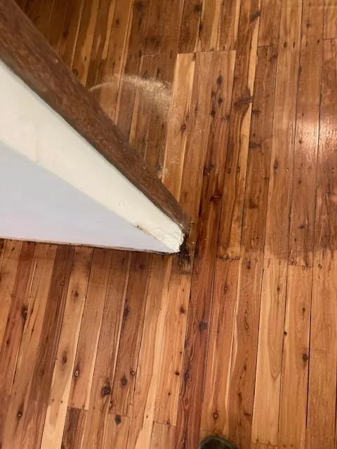 Timber Floor Polishing in Sydney
