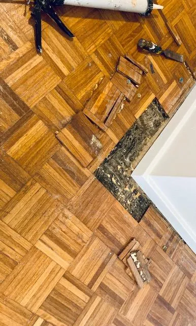 Bondi Timber Floor Repairs