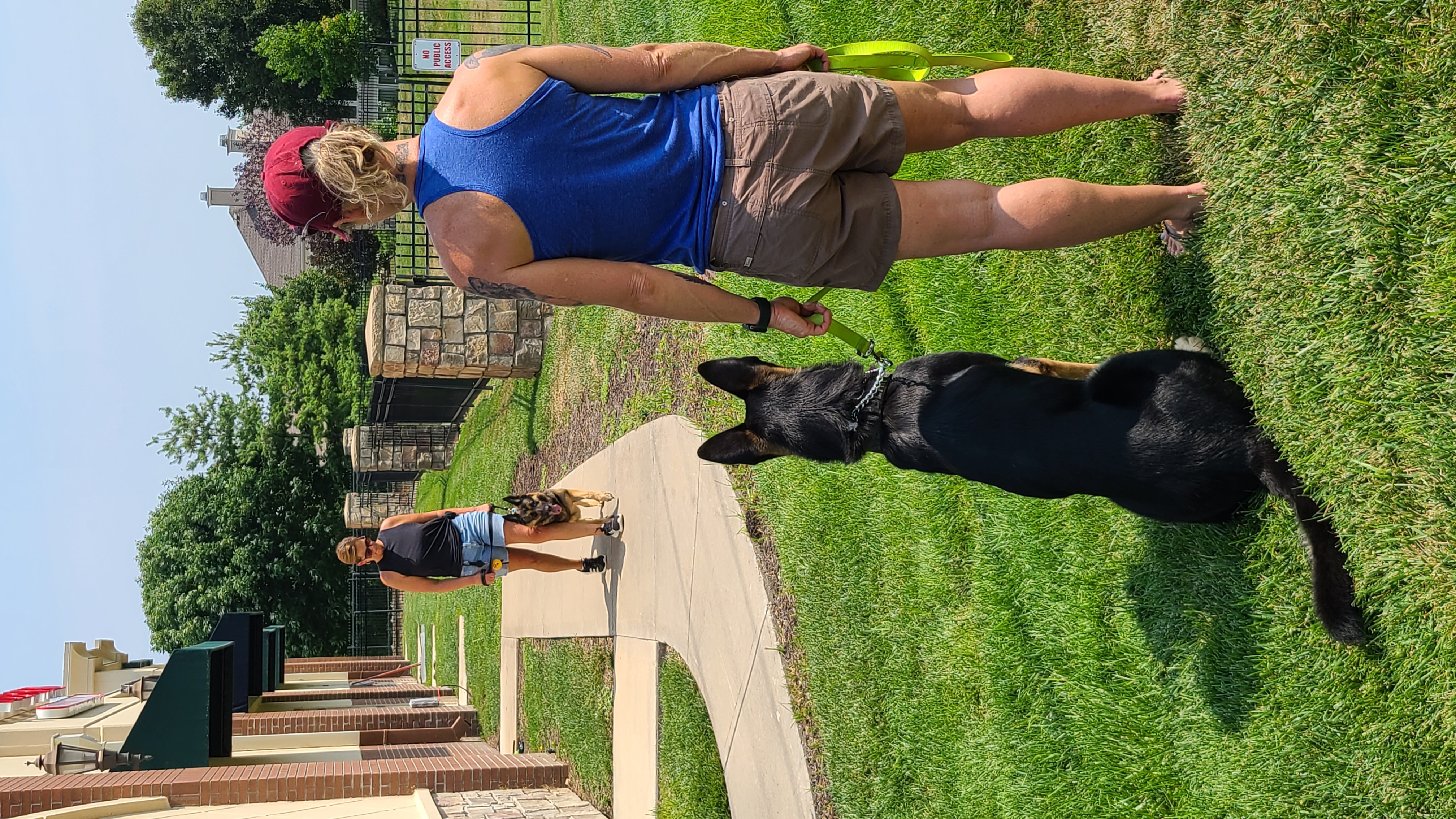 Trainer from Who’s Walking Who KC Dog Training walking a dog calmly past another dog using real-life dog behavior training techniques taught in their Kansas City day training for dogs programs.