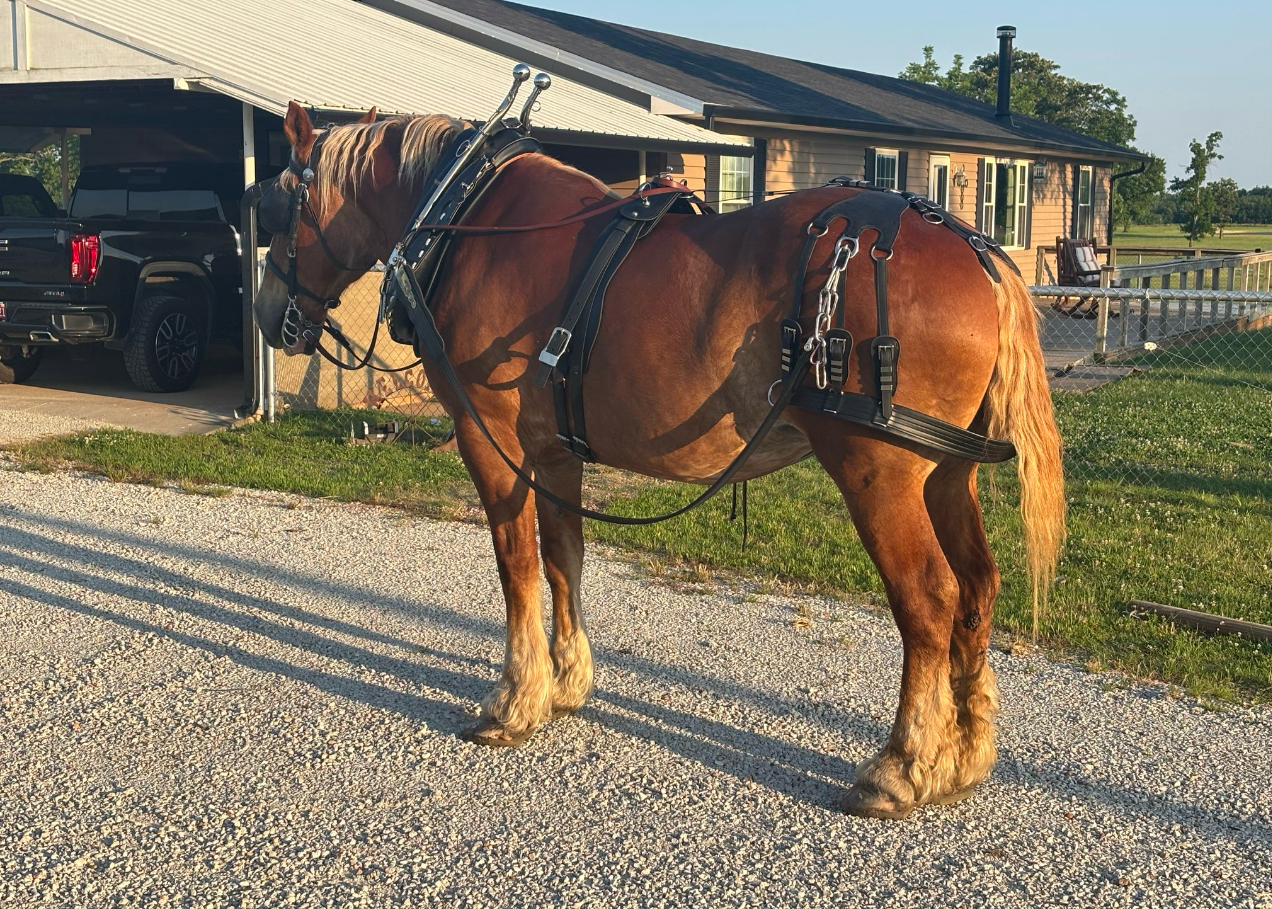 A close-up of a sleek, minimalist device interface glowing softly in a dark room, with a hand reaching out to interact, representing intuitive technology and human connection, in a clean, high-contrast photographic style.