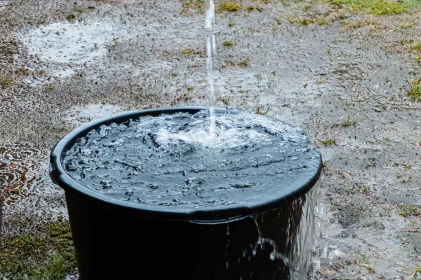 Revenue is growing but where is the cash going?