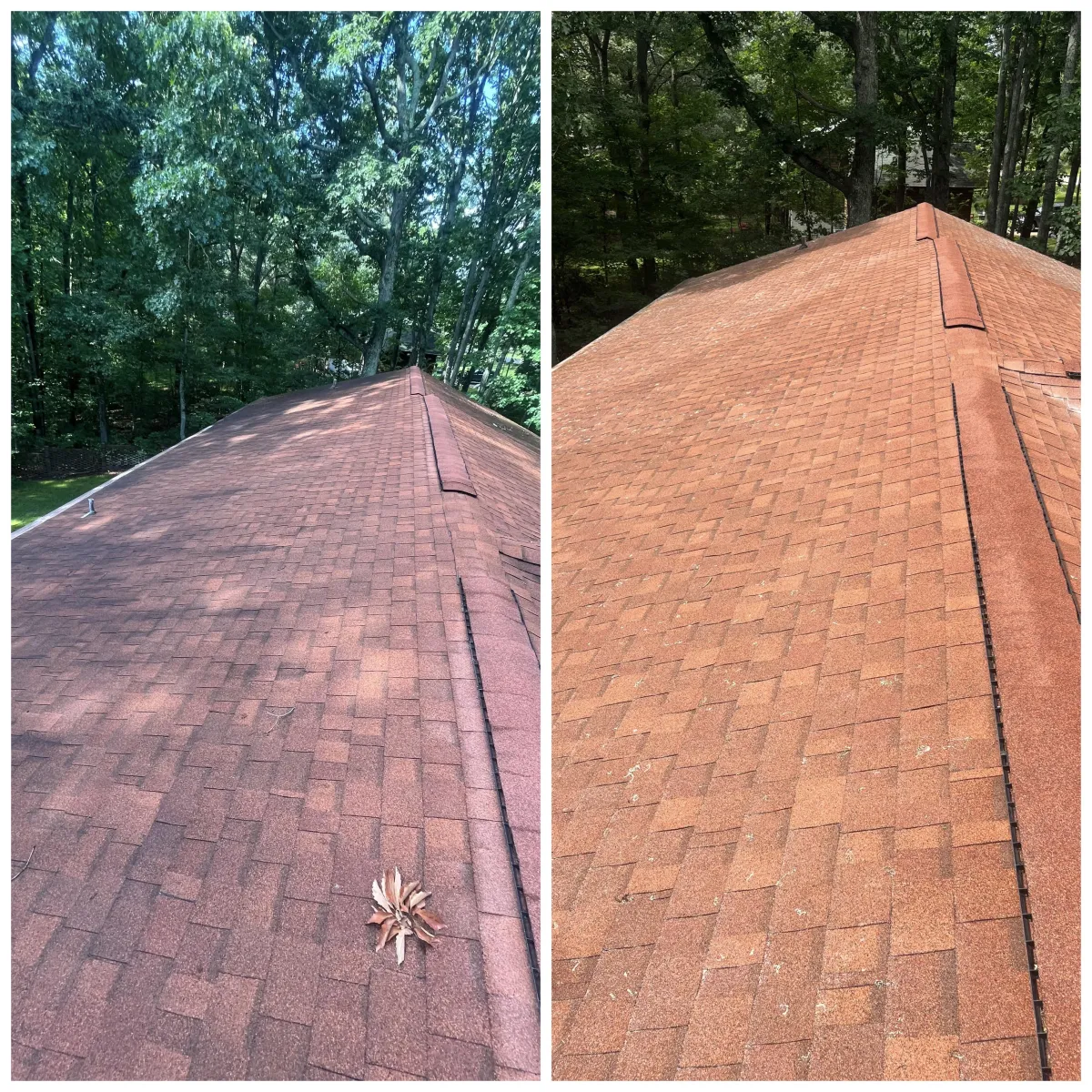 Roof before and after