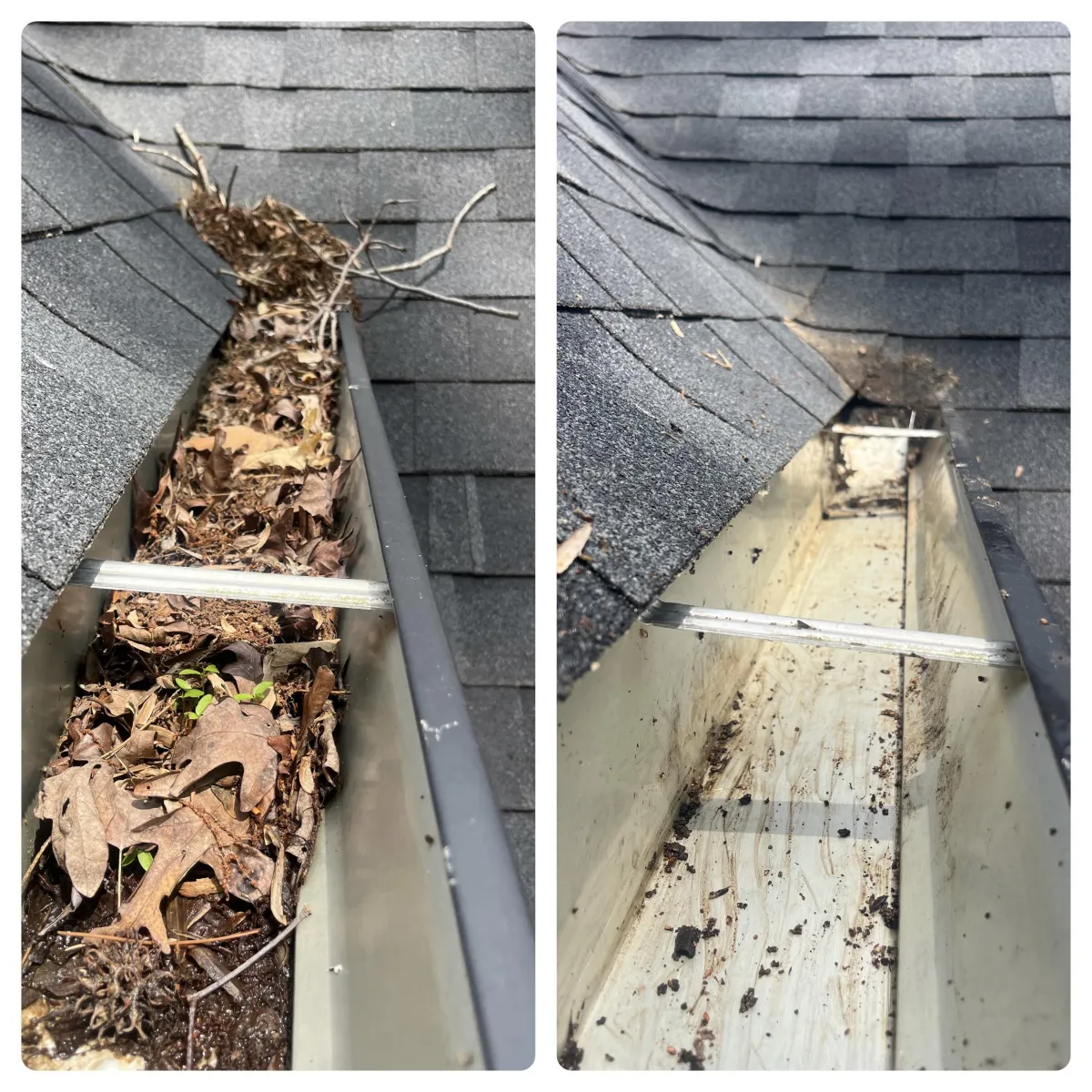 Gutter Cleaning