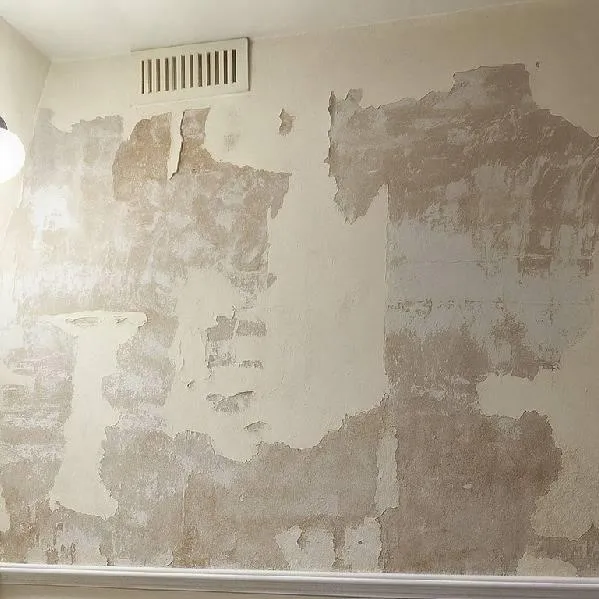 Wall with severe damp isues, flaking paint and salt damage