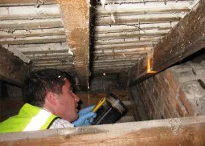 Timber survey been undrtaken to loft timbers by surveyor