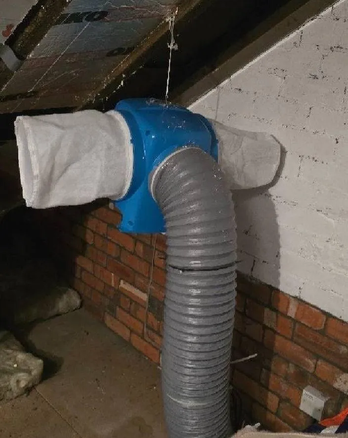 Wall with severe damp isues, flaking paint and salt damage