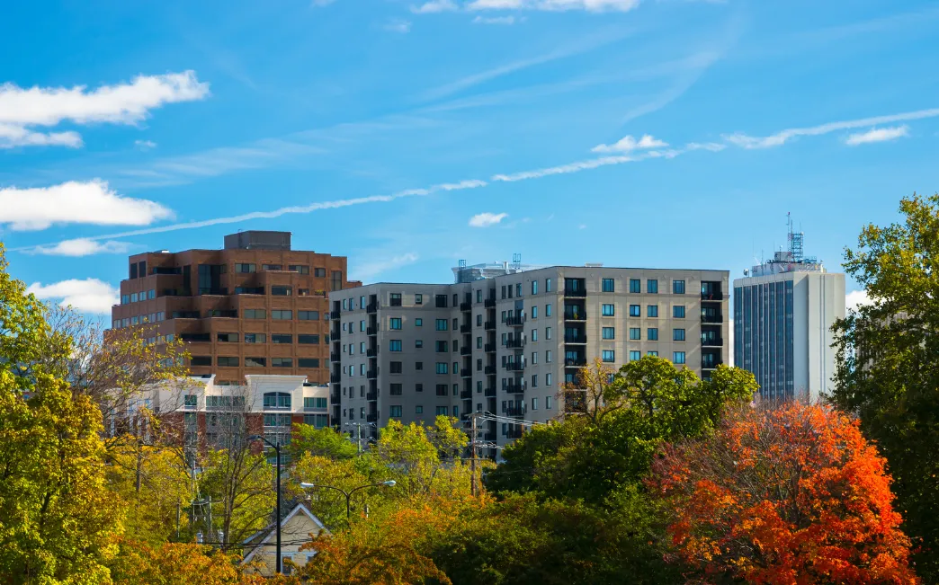 Is Ann Arbor Racially Diverse?