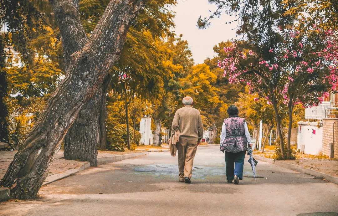 How Walkable Is Ann Arbor?