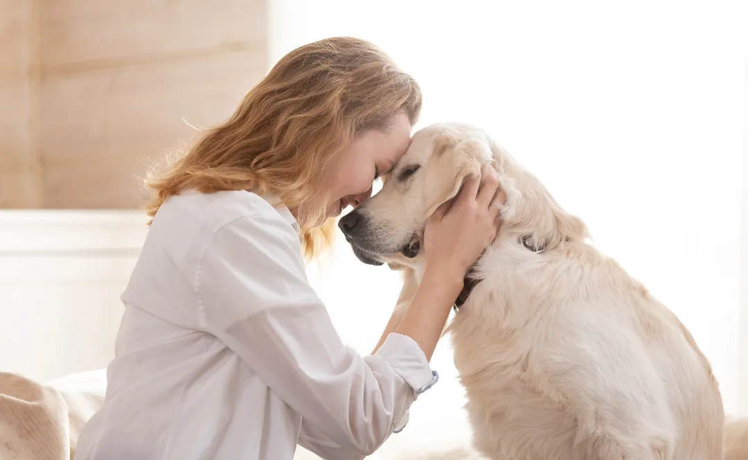 Best Neighborhoods for Pet Owners in Ann Arbor