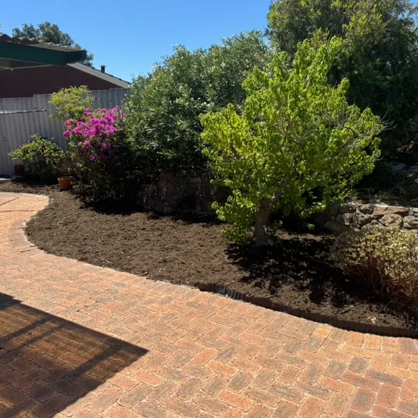 yard cleaning services ellenbrook