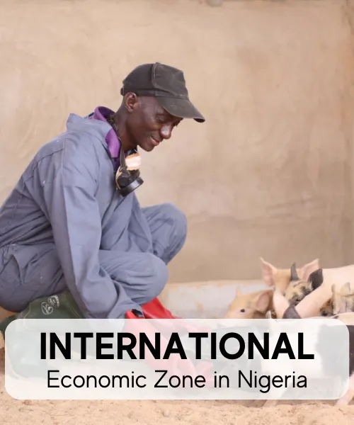 Picture of international economic zone in Nigeria