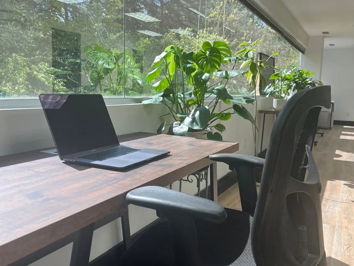 Picture of ORCA Coworking private desk and personal desk space.