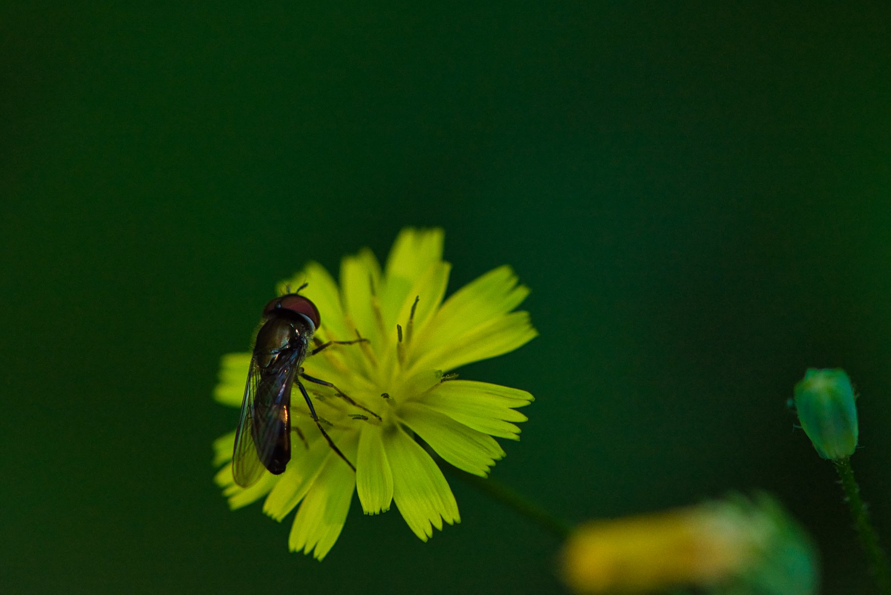 The Power of Community