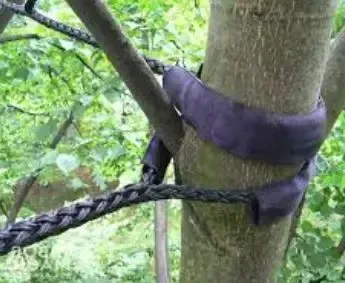 Tree cabling and structural support services in Jonesboro, AR by Jonesboro Tree Pros