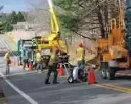 Commercial tree service and roadside tree work in Jonesboro, AR by Jonesboro Tree Pros