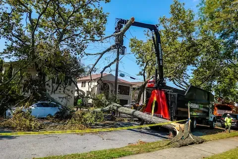 Emergency tree service and storm cleanup in Jonesboro, AR by Jonesboro Tree Pros