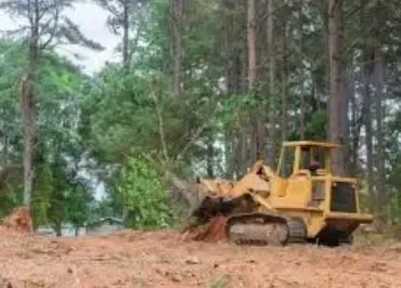 Land clearing and site preparation in Jonesboro, AR by Jonesboro Tree Pros