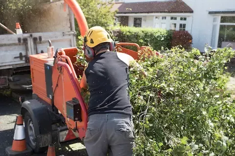 Tree debris cleanup and chipping service in Jonesboro, AR by Jonesboro Tree Pros