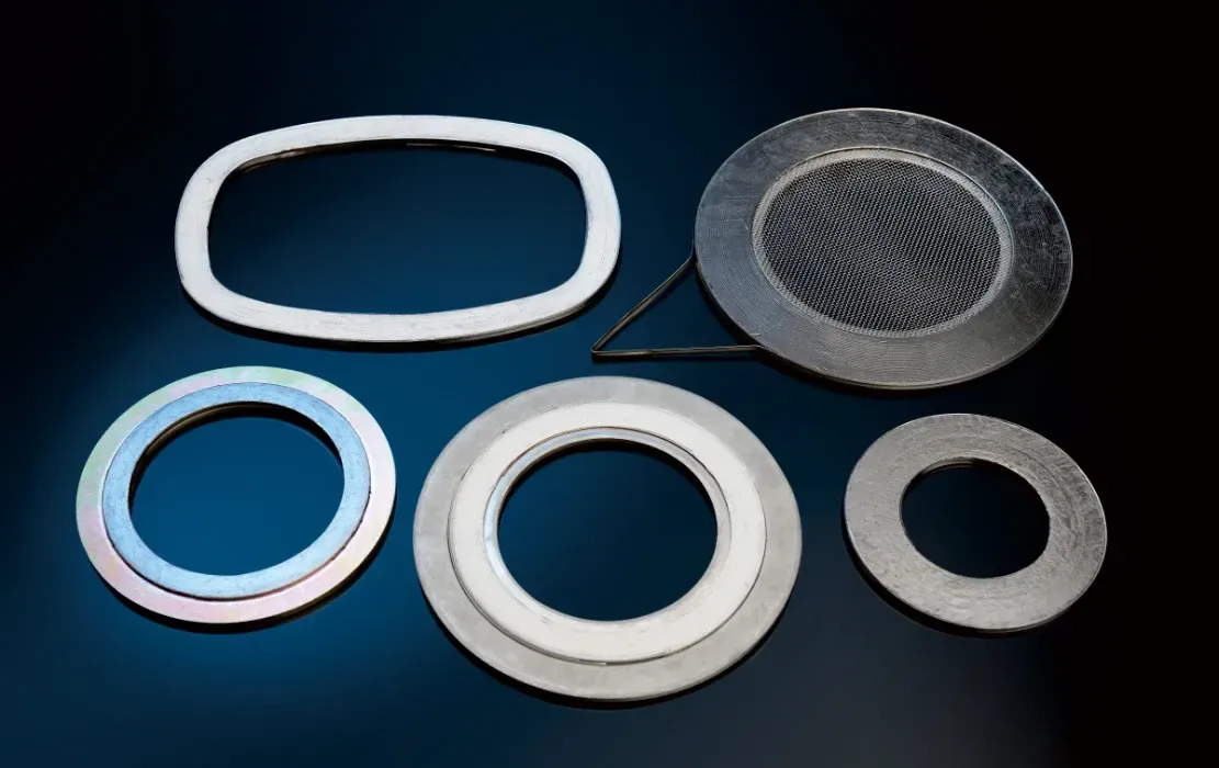 Stainless Steel Gasket Seals