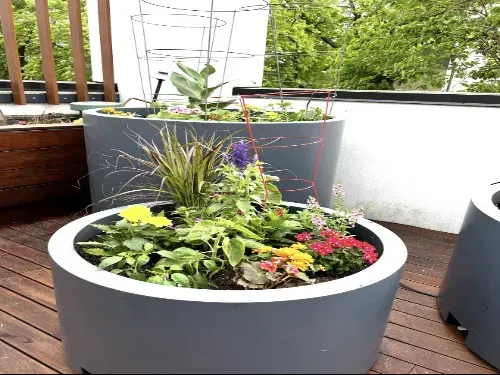 Tippecanoe Planting