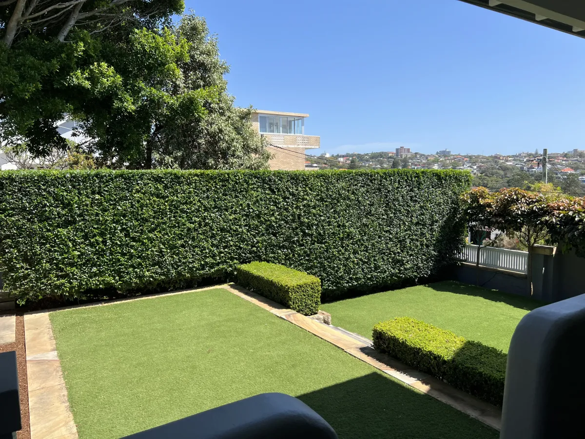 hedge trimming Glen Iris VIC