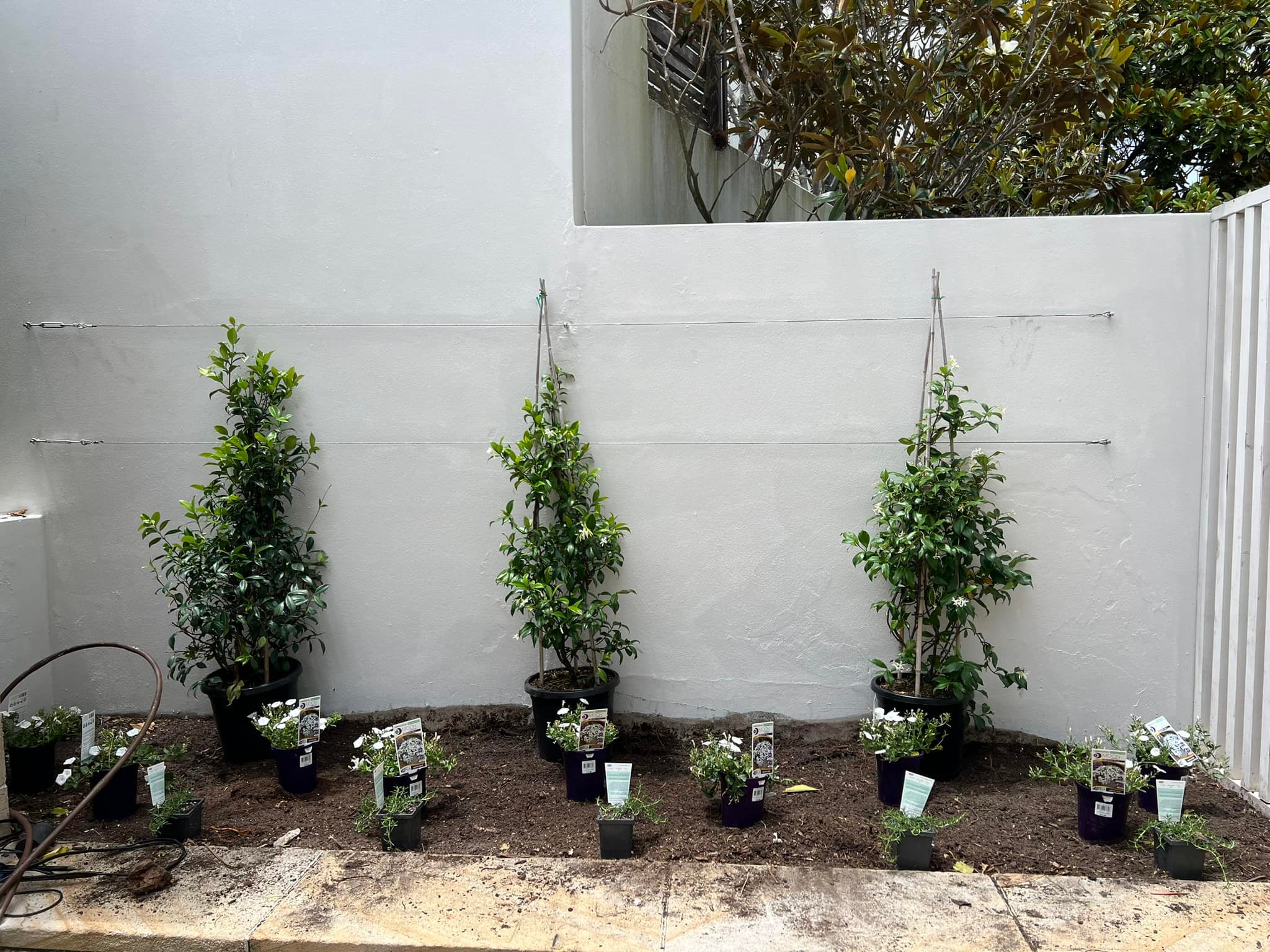 Property maintenance Byford outdoor garden service