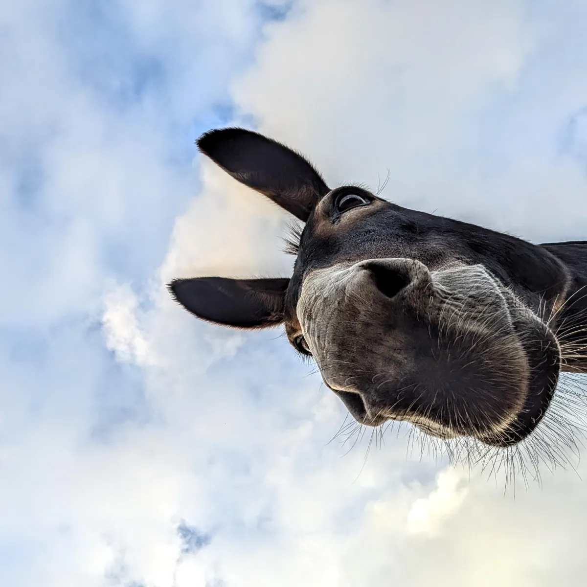 people on beach during daytime