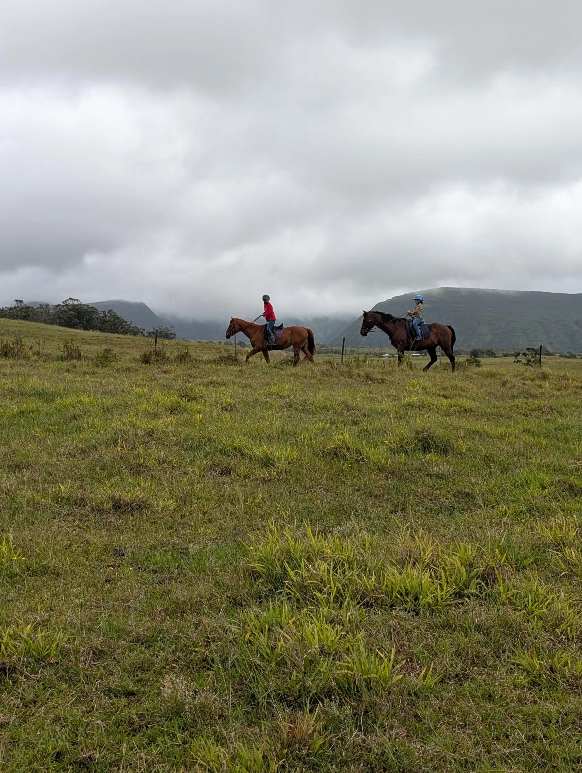 a man riding a horse
