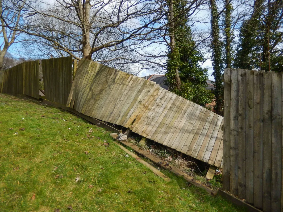 Removing Fence