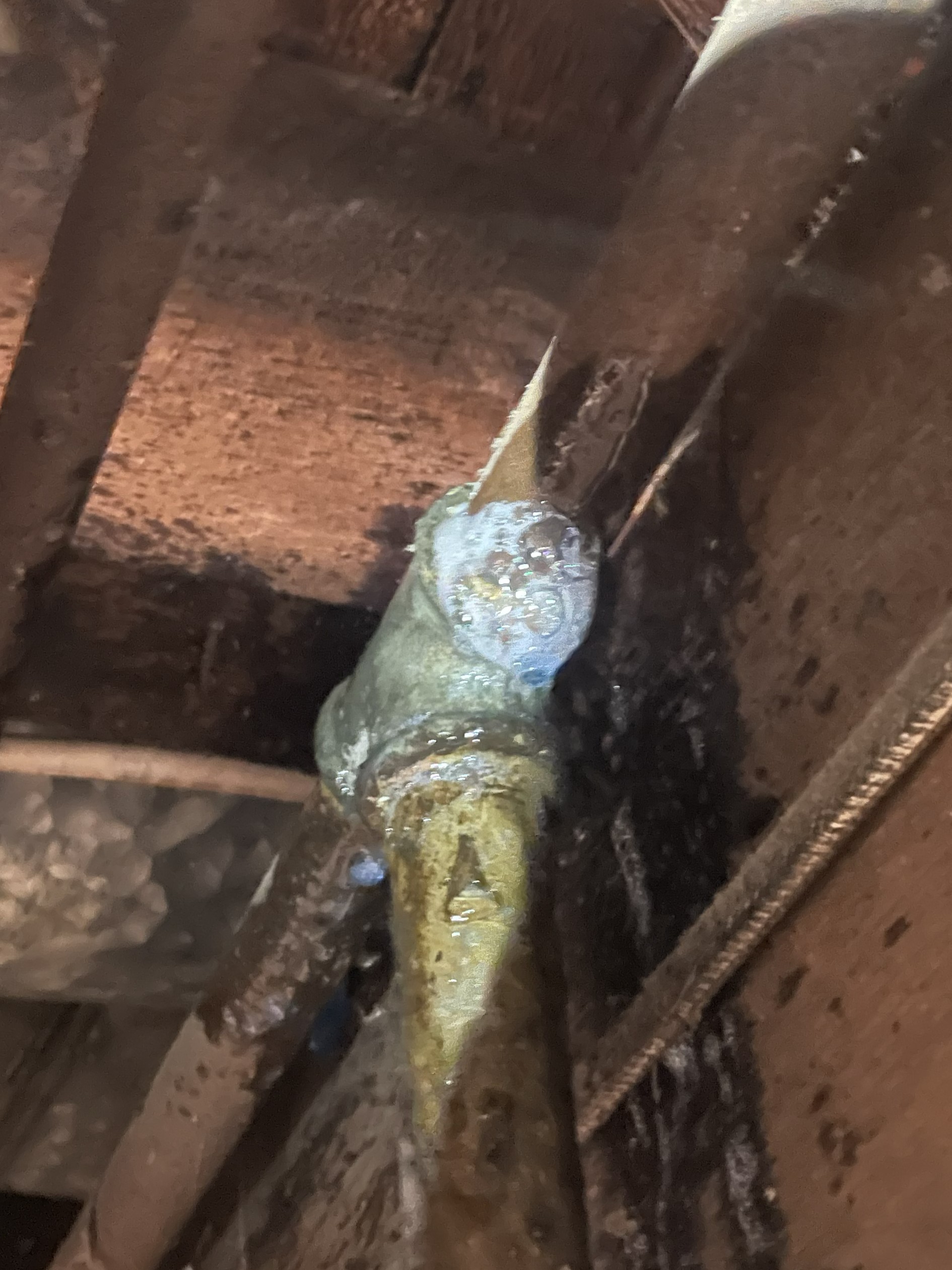 Gas Tee Showing Leak after BubbleTest