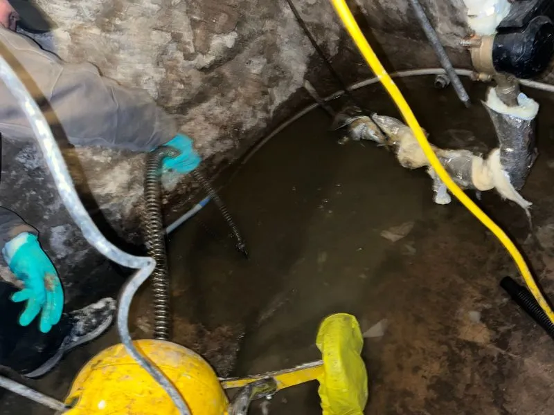 Professional sewer cleaning equipment being used to clear a blocked sewer line 