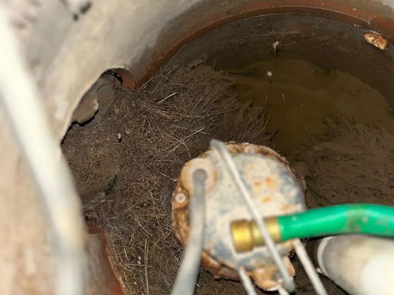 Tree roots and debris accumulated inside a residential sump pump pit