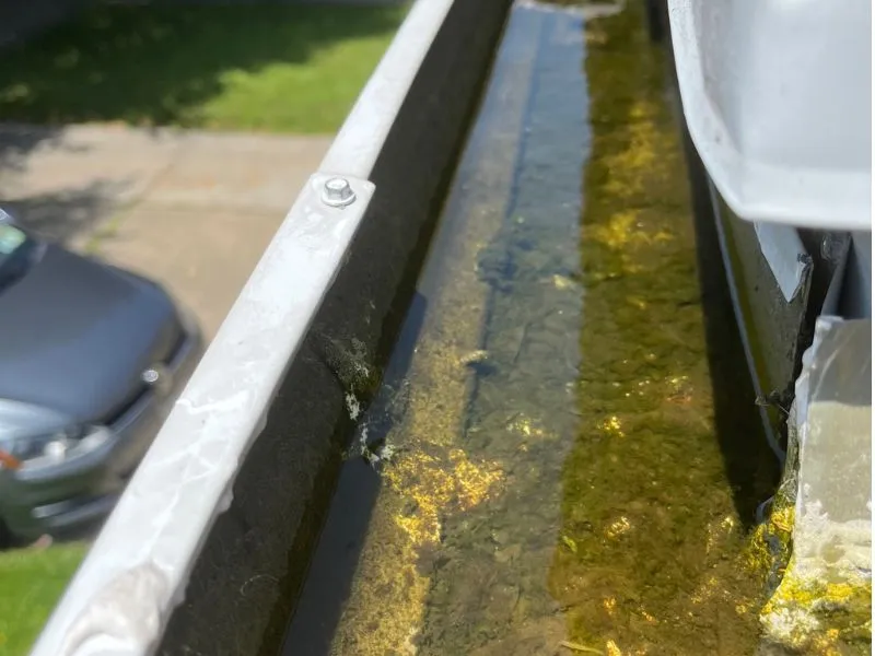 Gutter holding standing water due to improper drainage in Buffalo NY