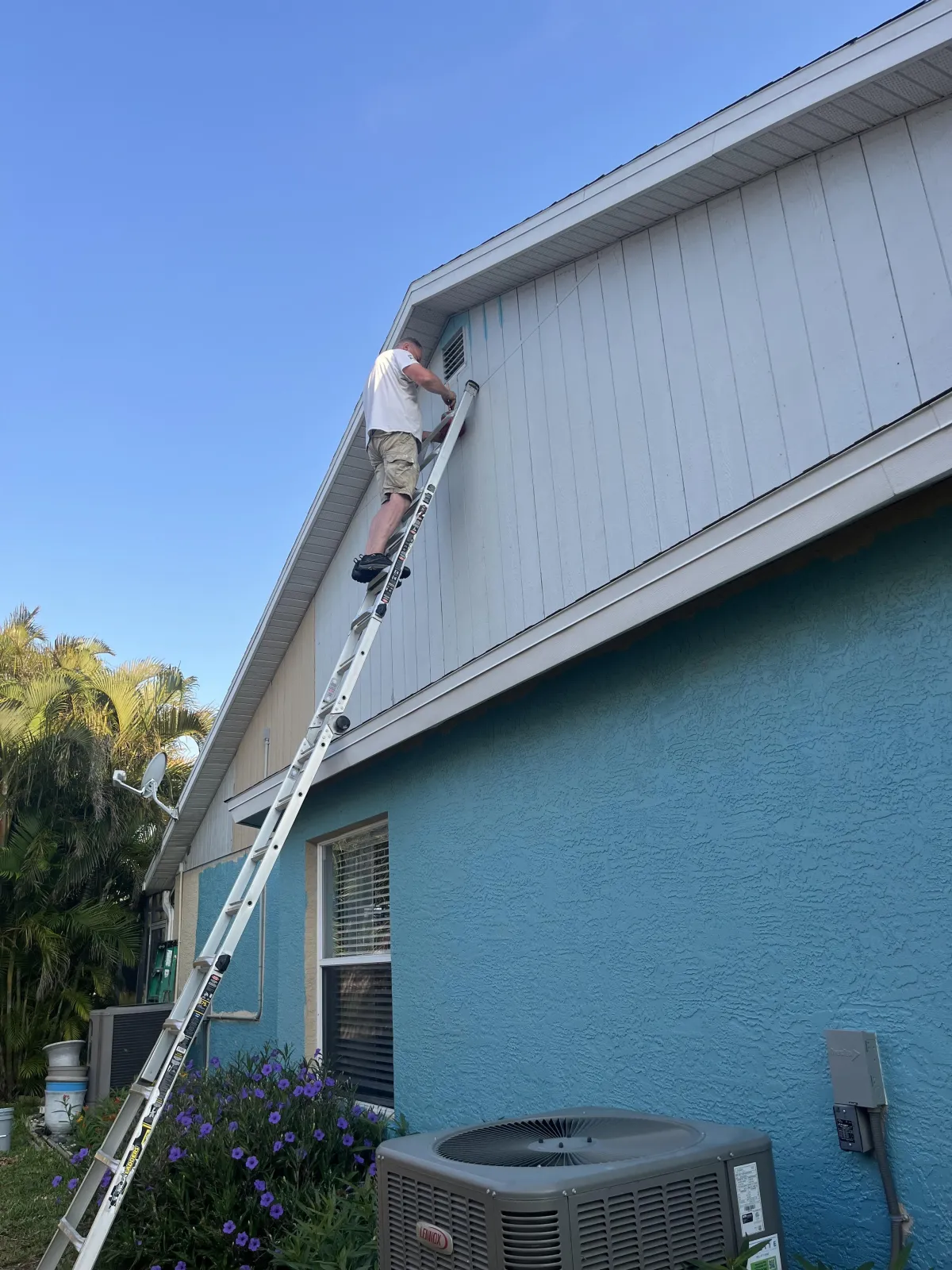 Interior Painting 