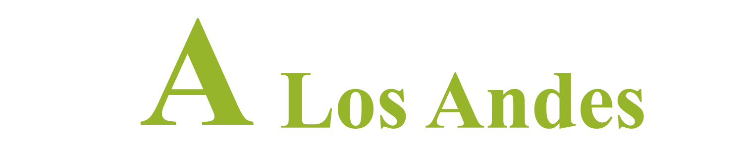 Grupo diverso de jóvenes sonrientes en campus moderno, con libros y laptops, fondo colorido y vibrante, estilo limpio y moderno, composición dinámica, ambiente de entusiasmo y colaboración, luz natural, ropa casual, aspecto inclusivo