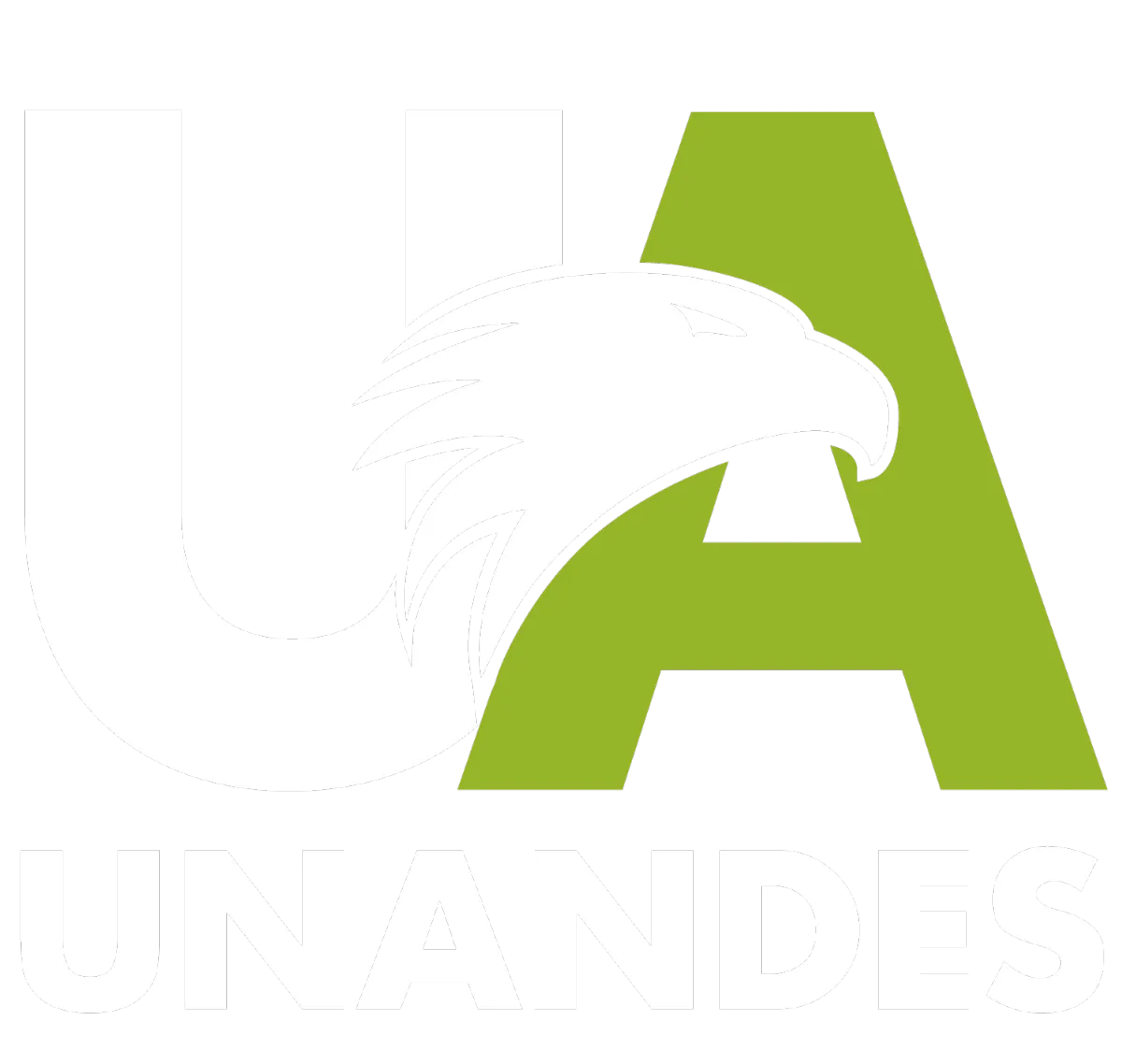 Asesor universitario atendiendo consulta de estudiante, ambiente de oficina moderna, fondo claro, estilo minimalista, composición vertical, interacción cordial, luz natural, ropa formal, expresión amable