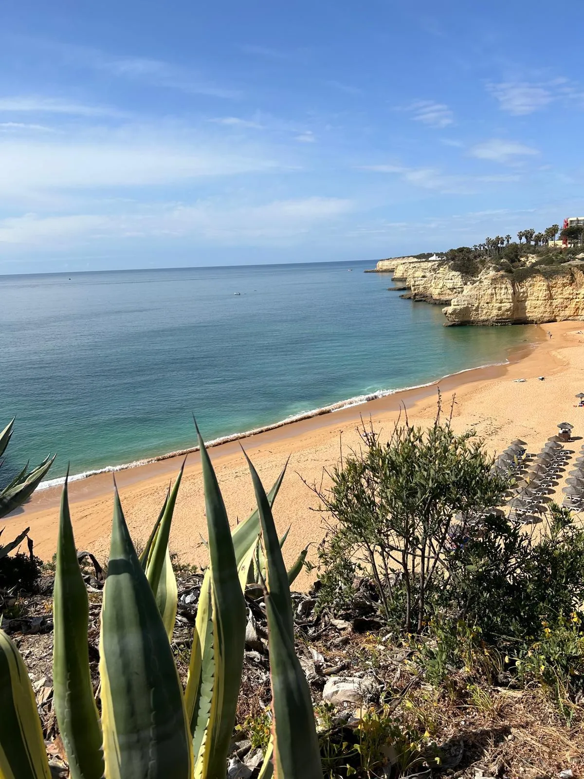 a stack of one hundred dollar bills sitting on top of a table
