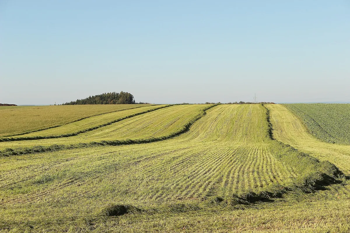 buying land in North Texas