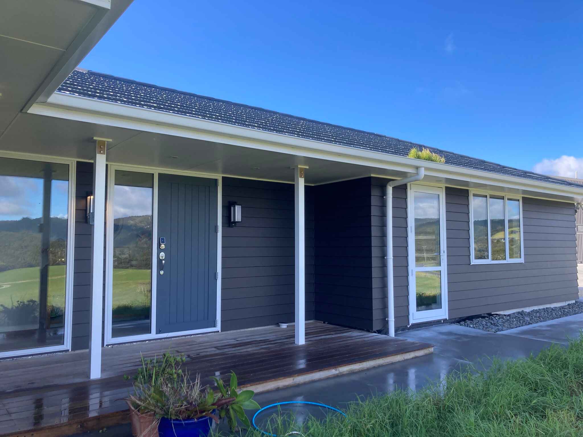 professional painting