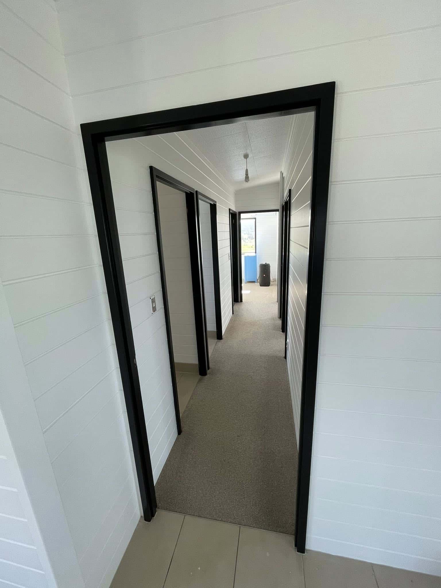 white and black house painting