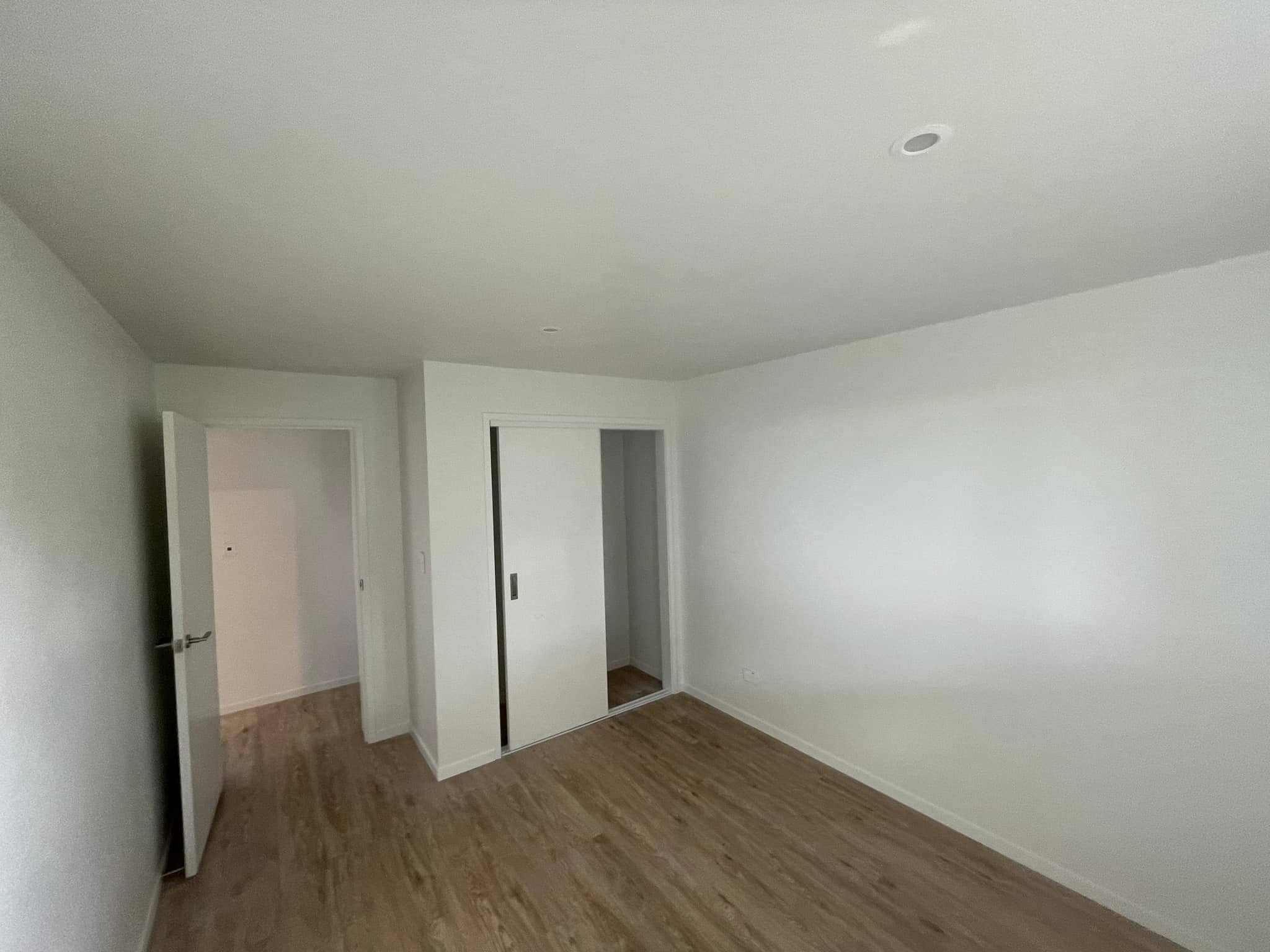 green feature wall interior painting