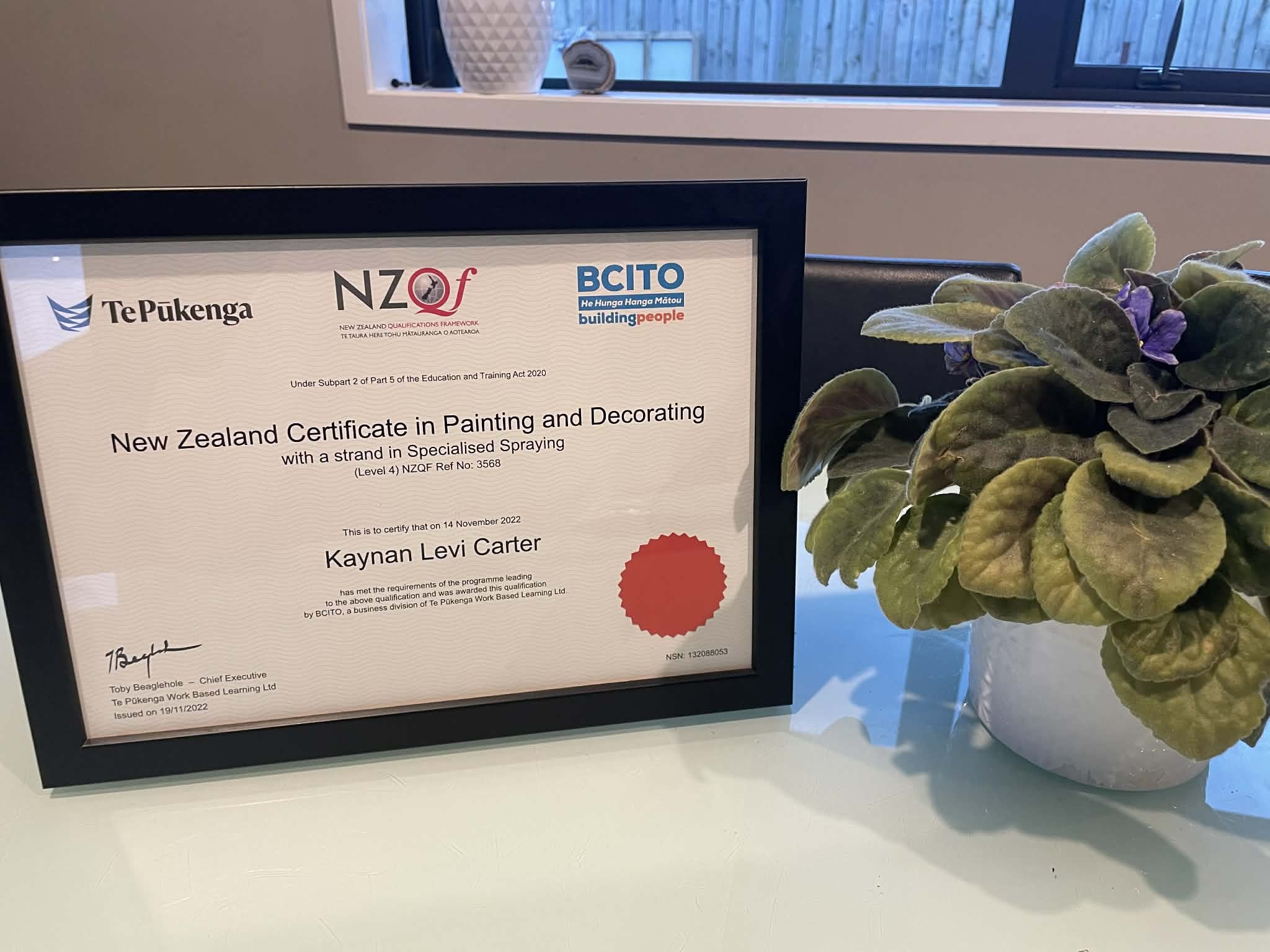 professional painting qualification