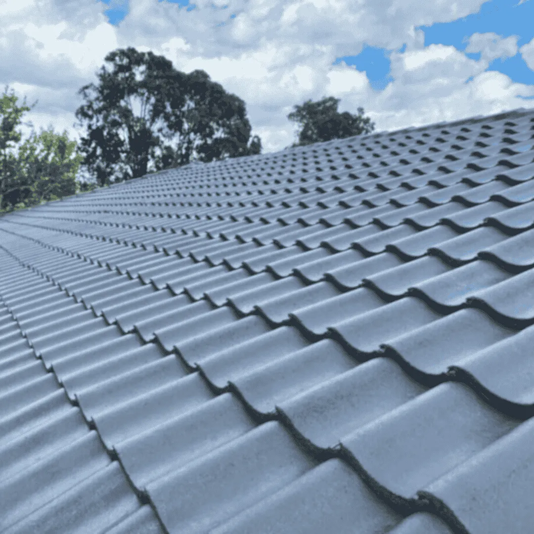 roof painting in waipu