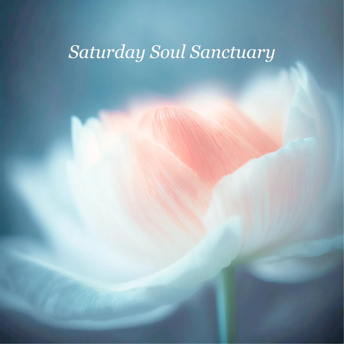 Nature background wiyh hands gently holding shell with HeartcoreUK logo