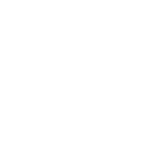 Ray Global Media logo