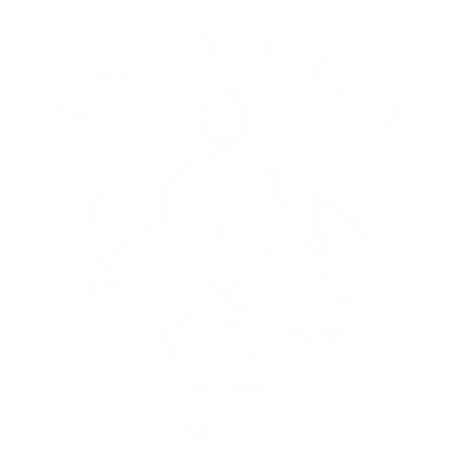 Las Vegas Custom Saunas Logo